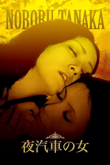 Woman on the Night Train Poster