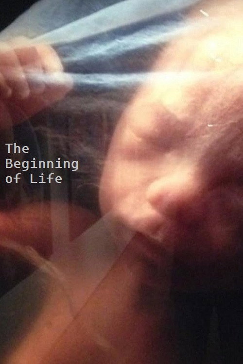 The Beginning of Life Poster