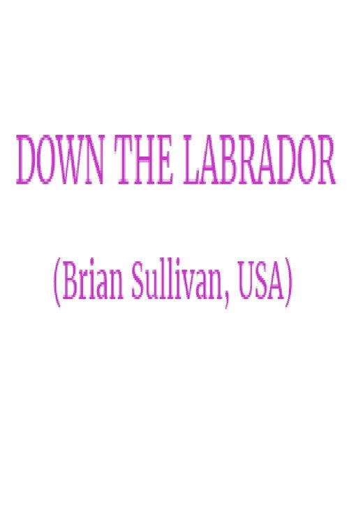 Down the Labrador Poster