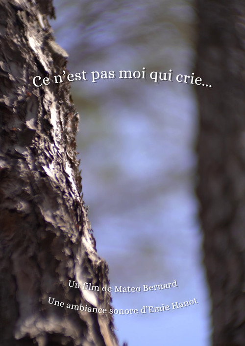 Ce n'est pas moi qui crie... Poster
