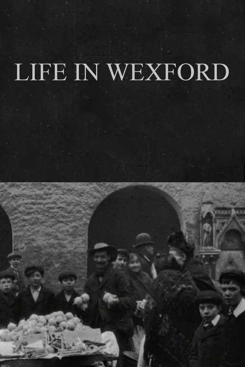 Life in Wexford Poster