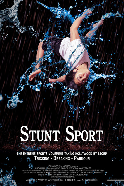 Stunt Sport Poster