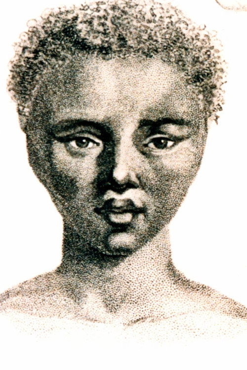 The Life and Times of Sara Baartman Poster