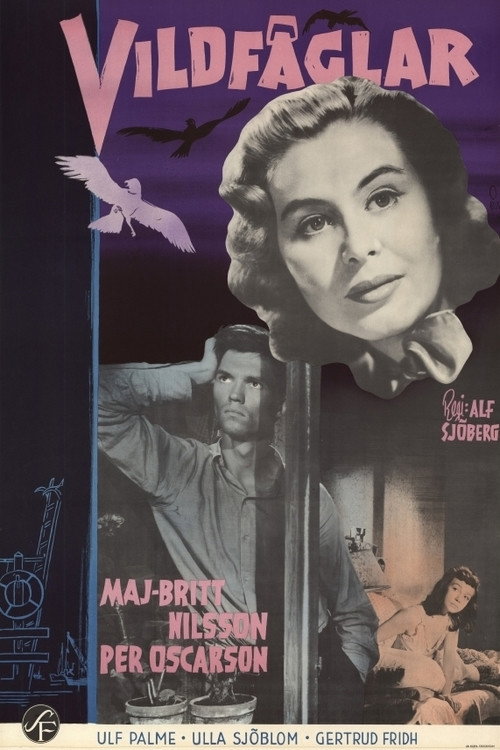 Wild Birds Poster