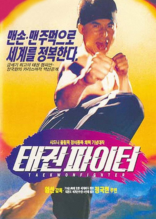 Taekwon Fighter Poster