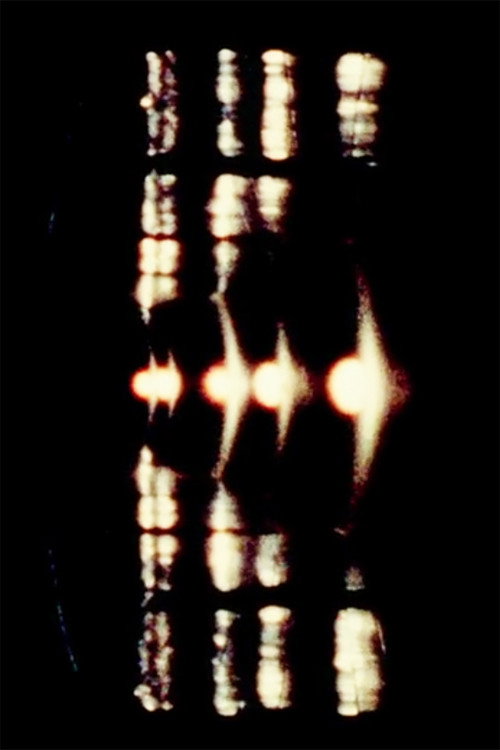 One Poster