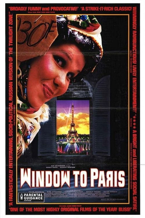 Window to Paris Poster