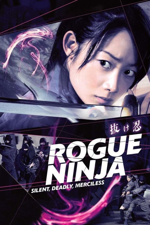 Rogue Ninja Poster