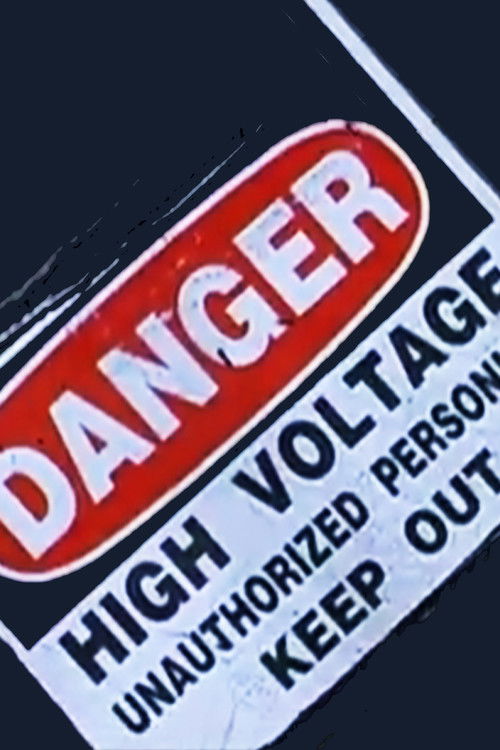 Danger: High Voltage Poster
