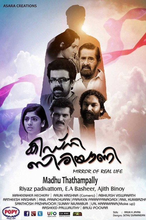 Kidney Biriyani Poster