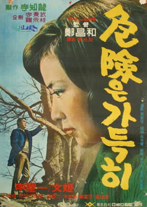 A Full Danger Poster