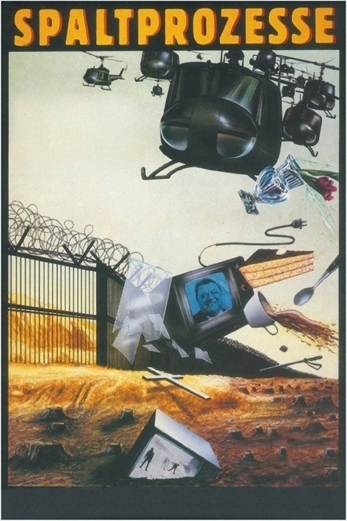 Spaltprozesse Poster