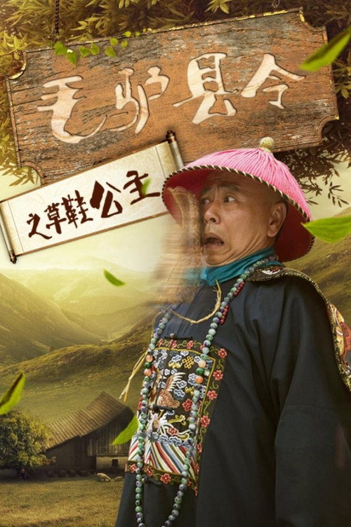 Donkey Magistrate of the Sandal Princess Poster