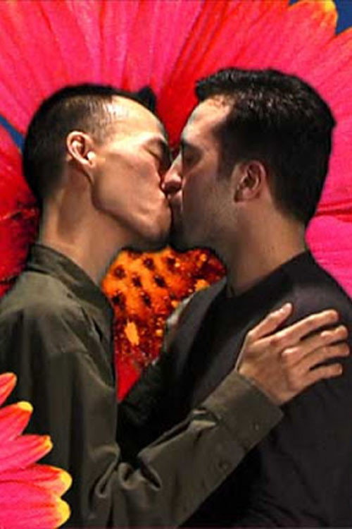 Field Guide to Western Wildflowers Poster