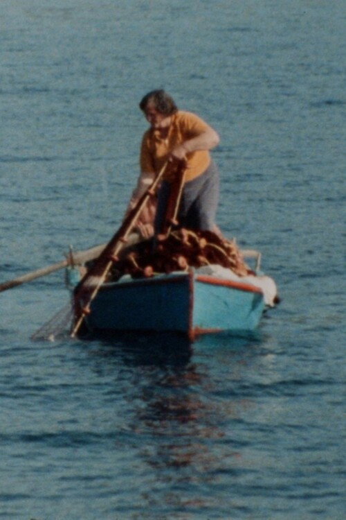 Fournoi, A Female Society Poster