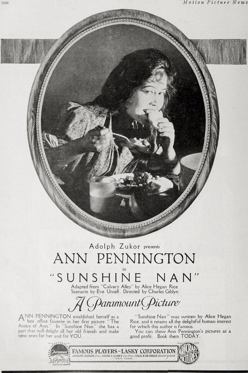 Sunshine Nan Poster