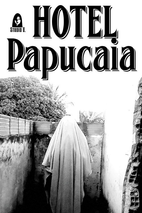Hotel Papucaia Poster