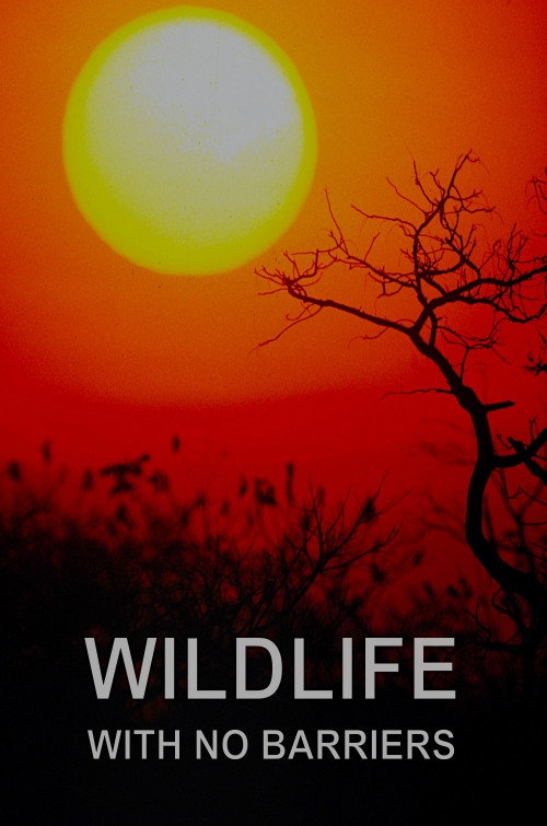 Wildlife With No Barriers Poster