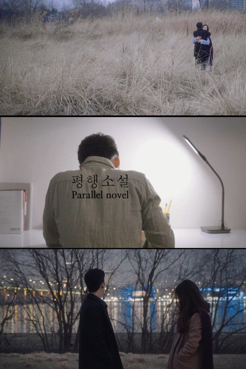 Parallel Novel Poster