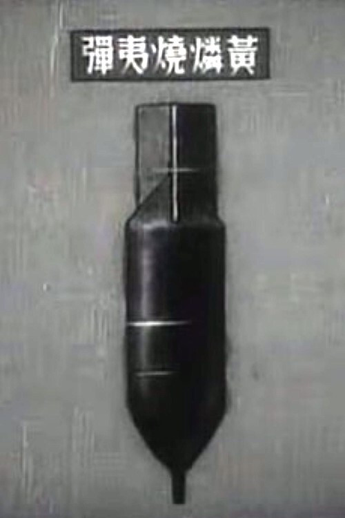 Kyouryoku Boukuusen Poster