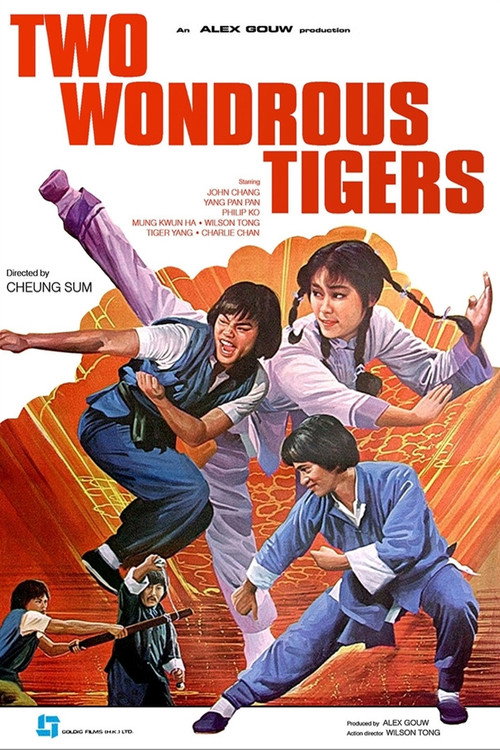 Two Wondrous Tigers Poster