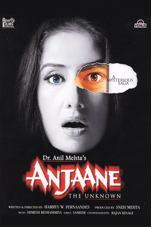 Anjaane: The Unkown Poster
