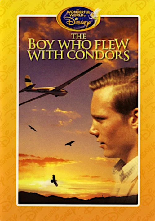 The Boy Who Flew with Condors Poster