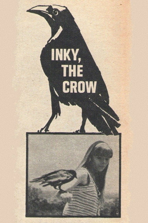 Inky, the Crow Poster
