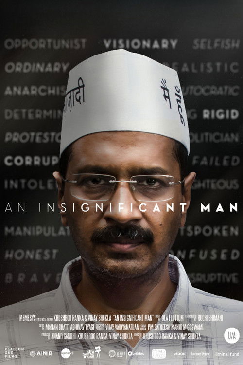 An Insignificant Man Poster