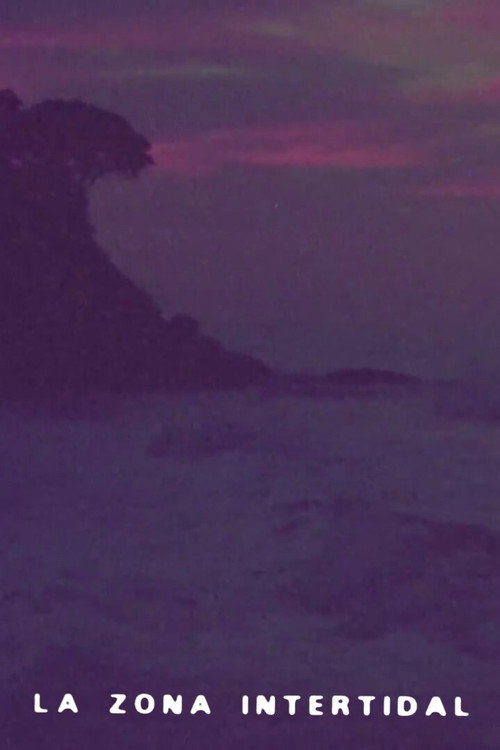 Intertidal Zone Poster