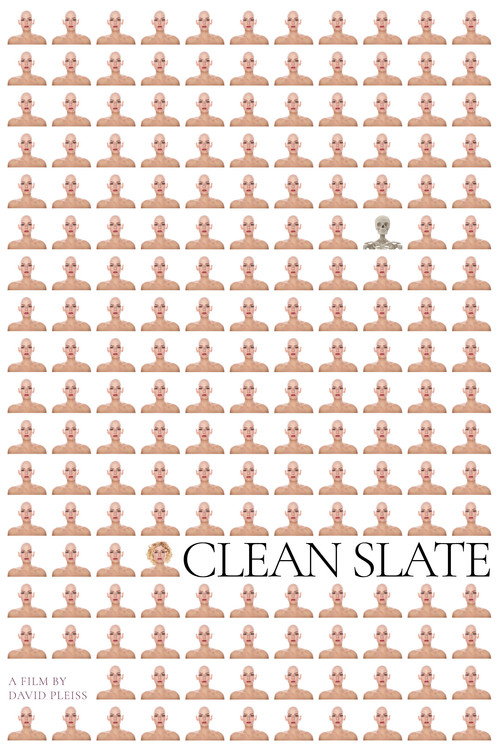 Clean Slate Poster