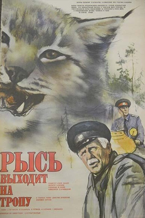 The Lynx Follows the Path Poster