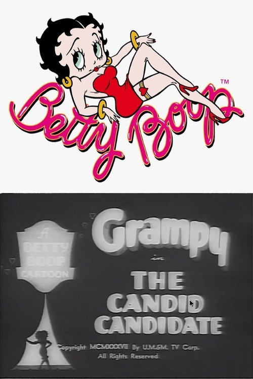 The Candid Candidate Poster