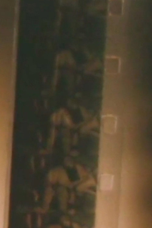 VICARIOUS THRILLS Poster