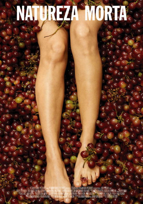 Natureza Morta Poster