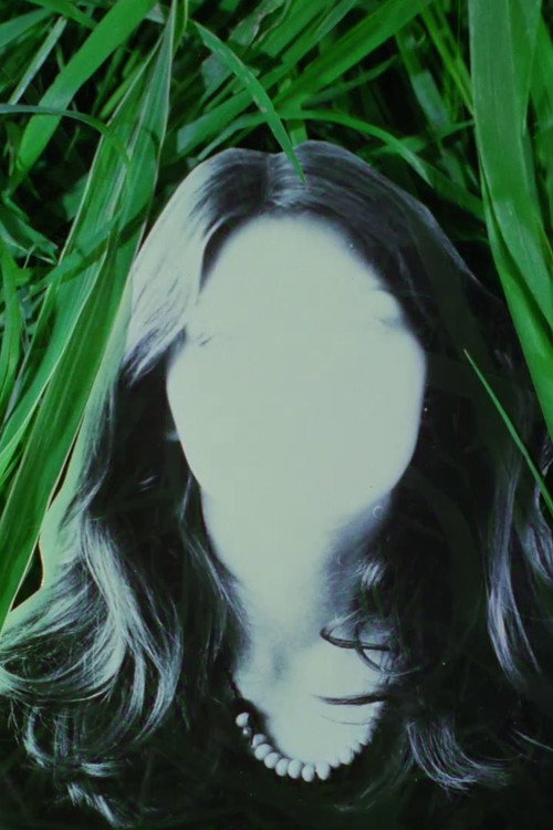 The Life Story Of Bruno S. Retrieved From A Drawer Poster