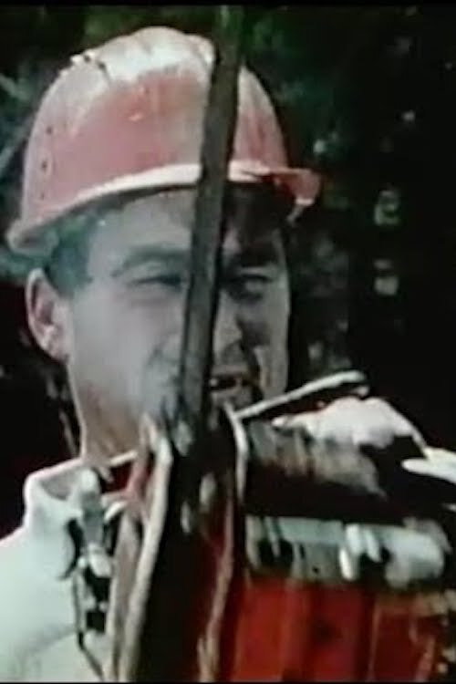 Oregon Presents: A Serious Look At Chainsaw Safety Poster