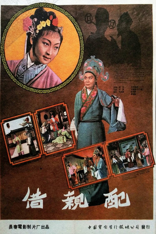 借亲配 Poster