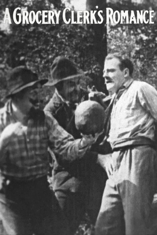 A Grocery Clerk's Romance Poster