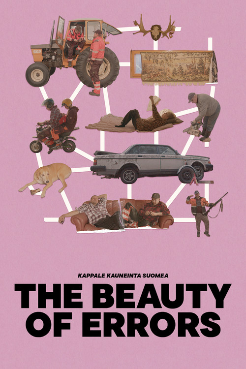 The Beauty of Errors Poster