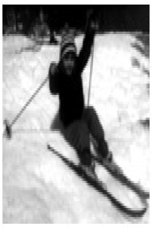 Winter Impressions Poster