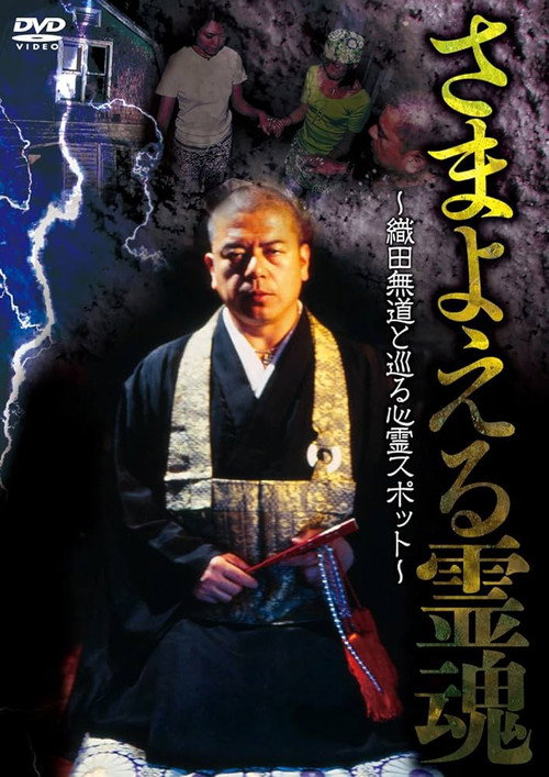Wandering Souls: Exploring Haunted Spots with Oda Nobunaga Poster