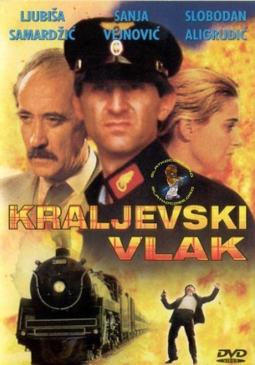 The Train for Kraljevo Poster
