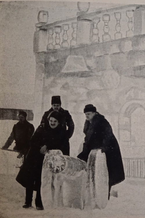 The Ice House Poster