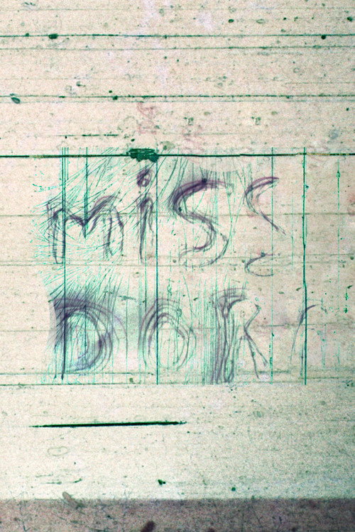 Miss Dora Poster