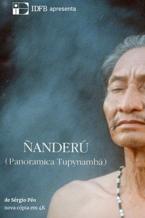 Ñanderú - Panorâmica Tupinambá Poster