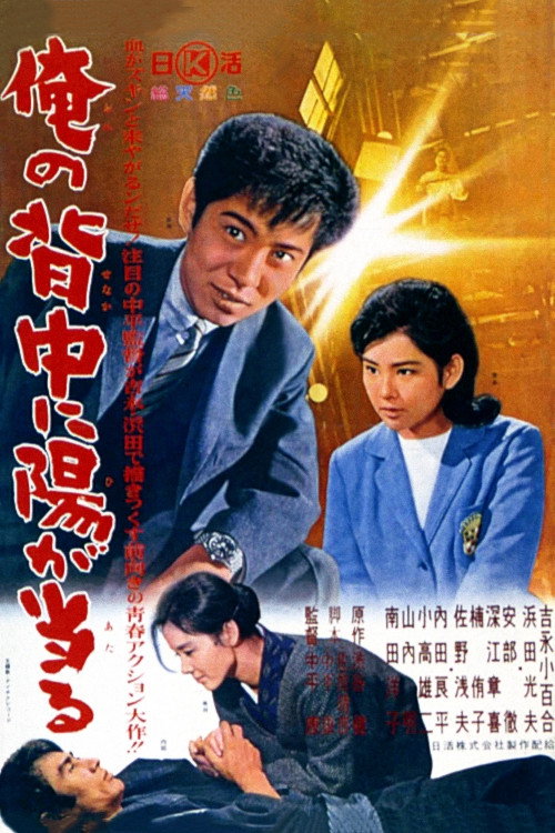 I Have the Sun in My Back Poster