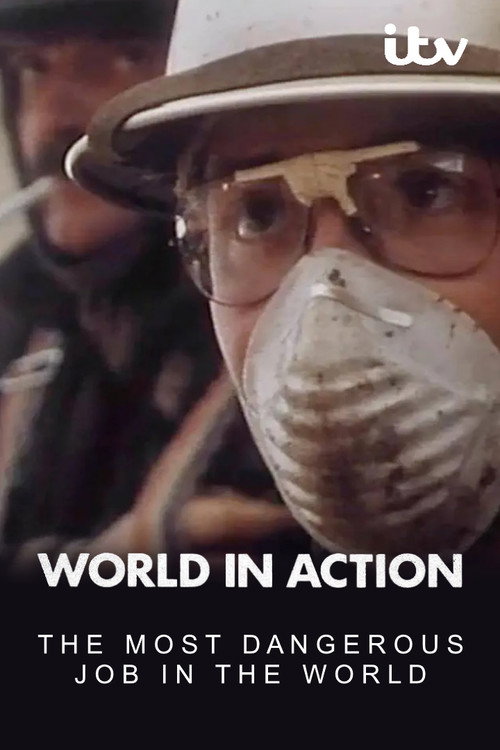The Most Dangerous Job in the World Poster