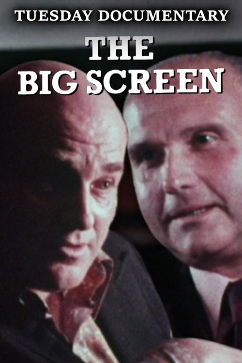 The Big Screen Poster