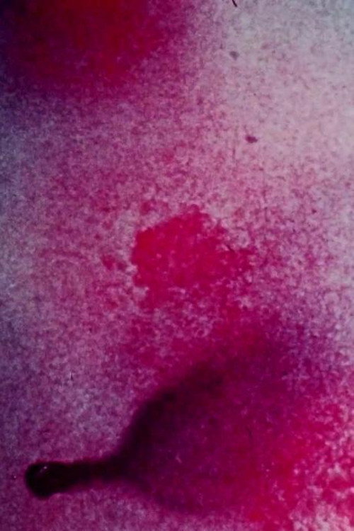 Permutations and Combinations Poster